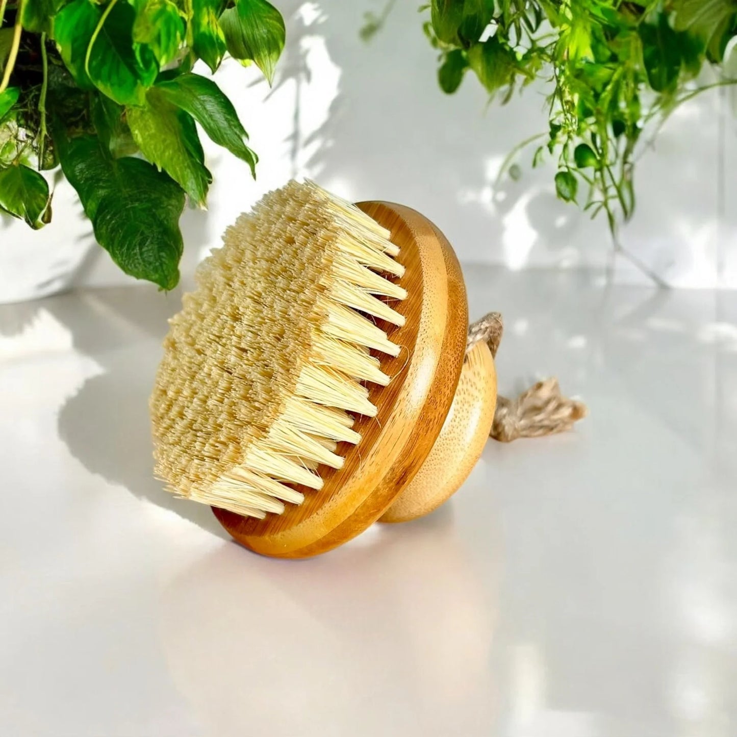 Bamboo Dry Brush