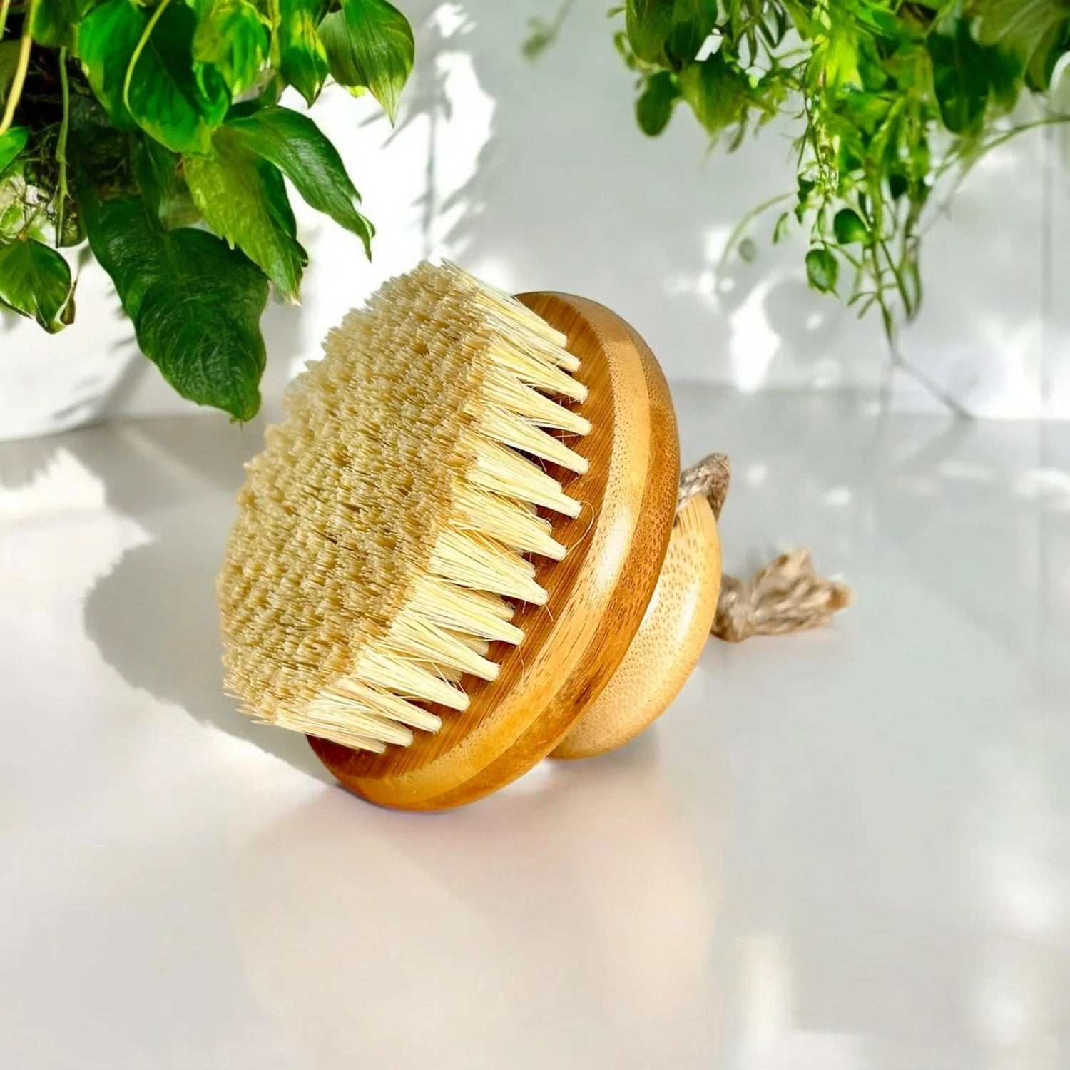 Round wooden brush with natural bristles on a white surface with green plants in the background
