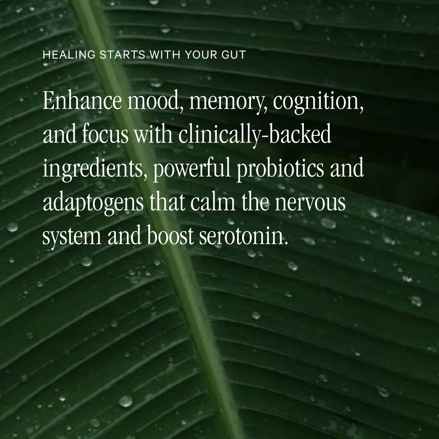 Juna Gut Therapy – Restore, Nourish, Optimize Your Gut for Total Wellness