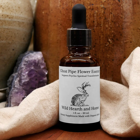 ghost pipe, essence, herbal remedy, holistic wellness, tincture, drops, herbology, emotion support, resiliance, dietary supplement, organic herbs