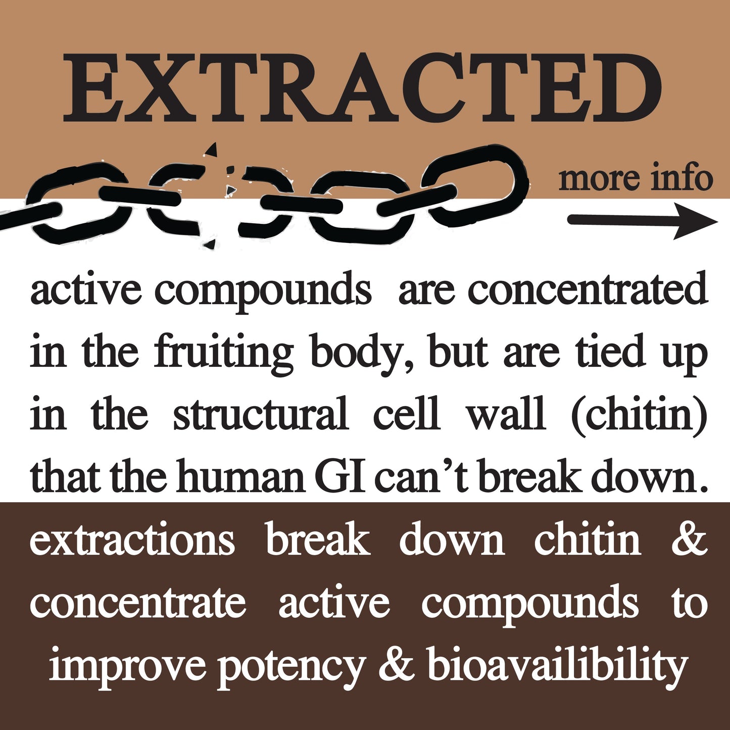 Adaptive Cacao: The Ultimate Mushroom & Adaptogen Superblend