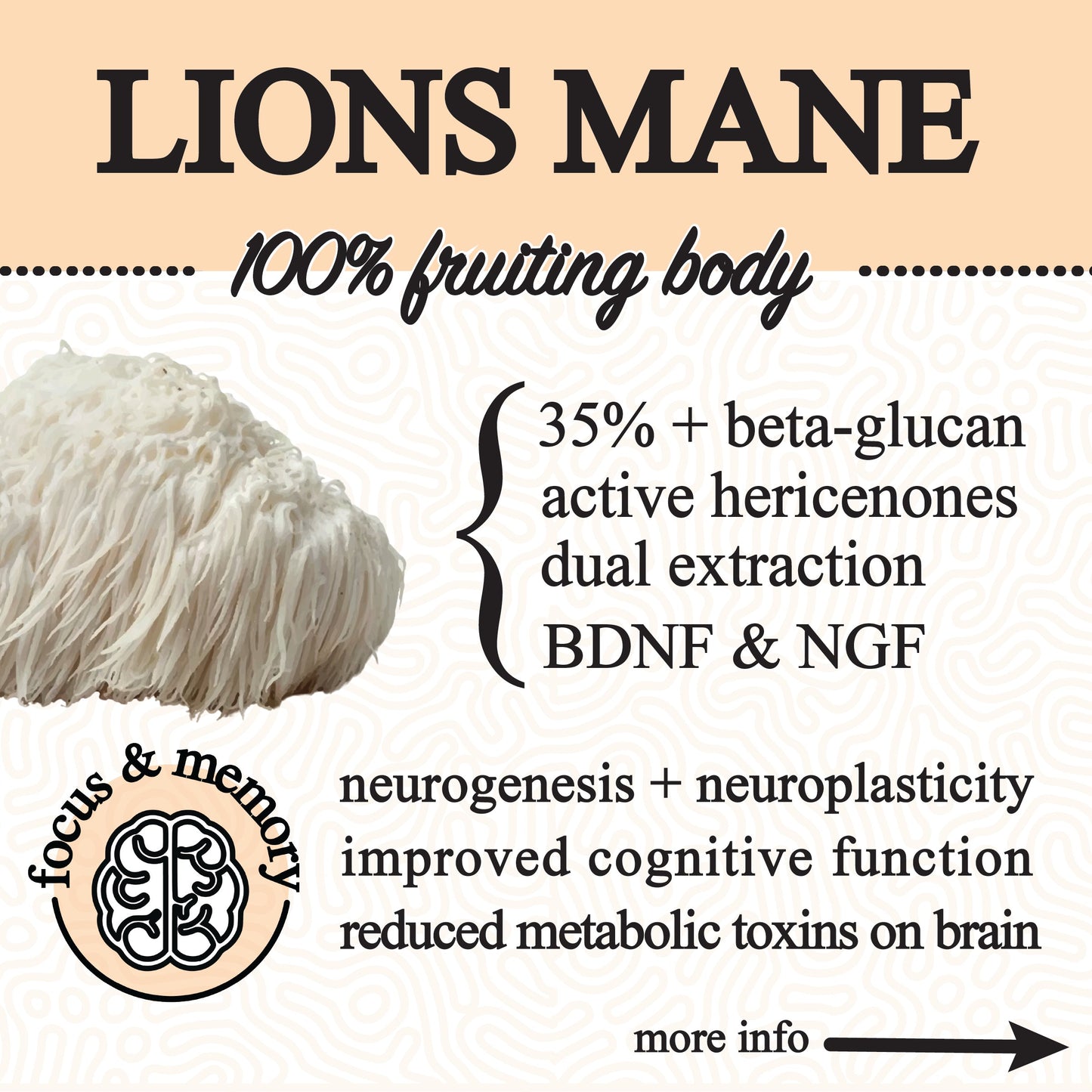 Adaptive Cacao: The Ultimate Mushroom & Adaptogen Superblend